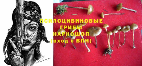 гидропоника Балахна