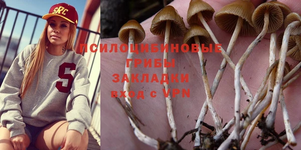 гидропоника Балахна