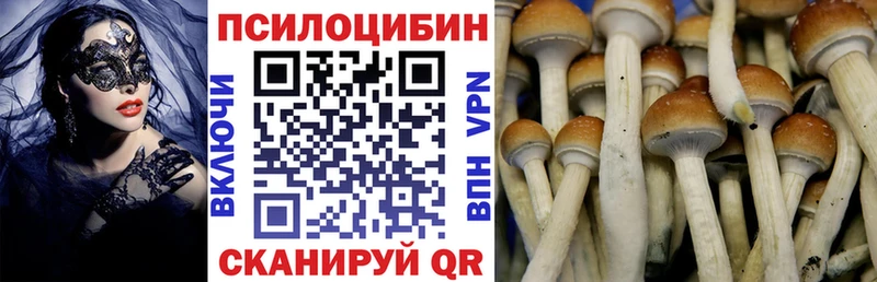 Псилоцибиновые грибы мицелий  Семикаракорск 